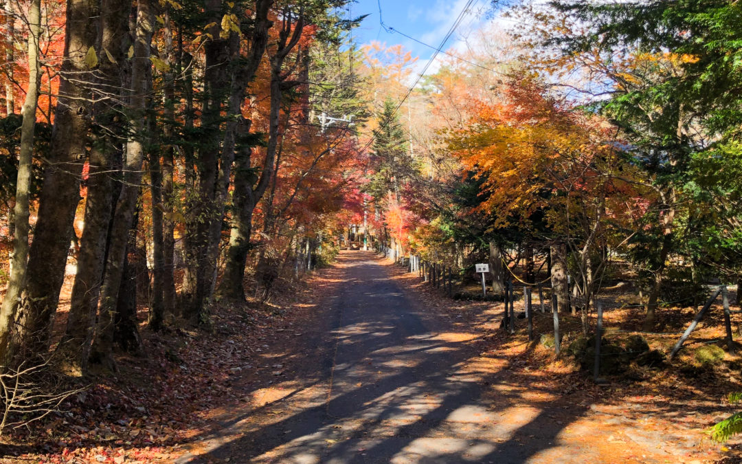 軽井沢もうすぐ紅葉おわり🍁